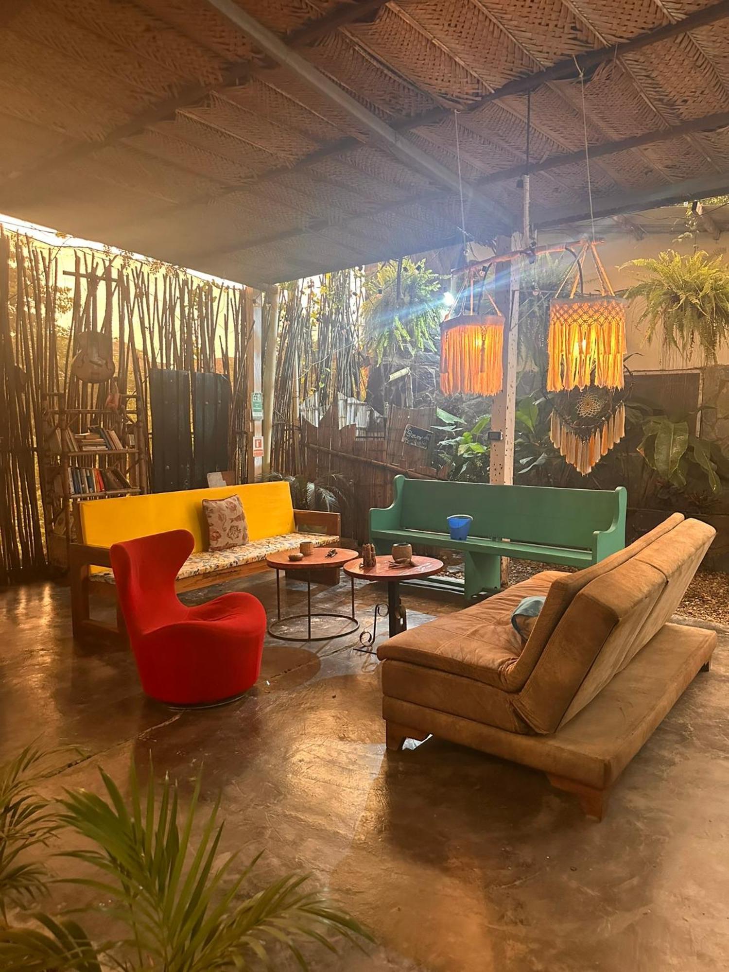 Hotel Renasci Palomino Extérieur photo